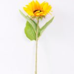 60cm Single Sunflower GS-1450127-Y2