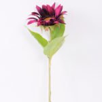 60cm Single Sunflower GS-1450127-Z1