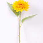 20*54cm Single Mum GS-1450128-Y1