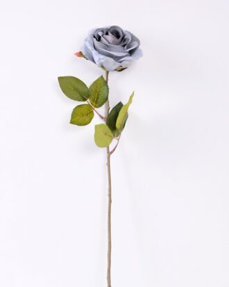 10*66cm Single rose GS-1450141-B1