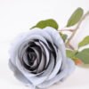 10*66cm Single rose GS-1450141-B1