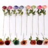 10*66cm Single rose GS-1450141-B1