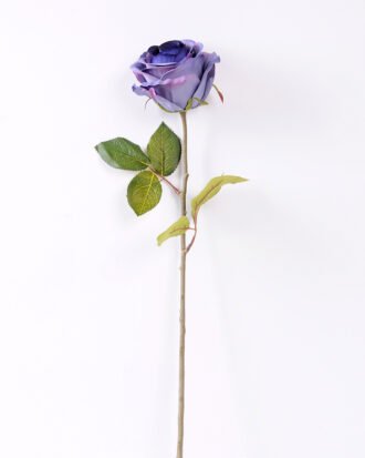 10*66cm Single rose GS-1450141-B2