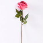 10*66cm Single rose GS-1450141-B3