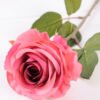 10*66cm Single rose GS-1450141-B3