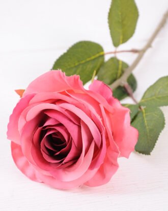 10*66cm Single rose GS-1450141-B3