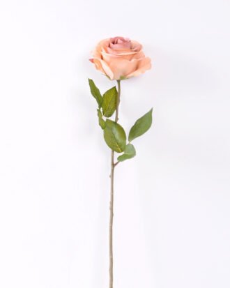 10*66cm Single rose GS-1450141-O1