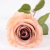 10*66cm Single rose GS-1450141-O1