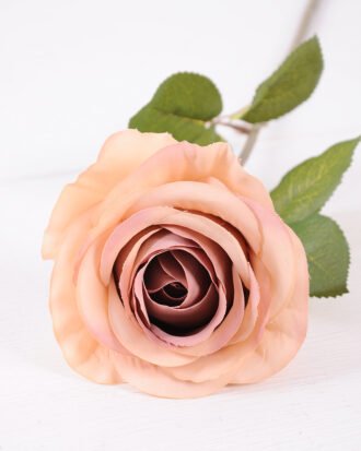 10*66cm Single rose GS-1450141-O1