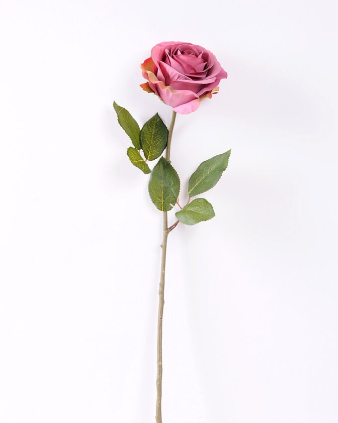 10*66cm Single rose GS-1450141-P1
