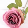10*66cm Single rose GS-1450141-P1
