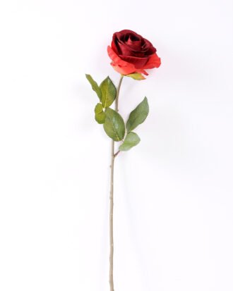 10*66cm Single rose GS-1450141-P2