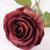 10*66cm Single rose GS-1450141-R1