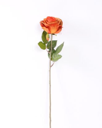 10*66cm Single rose GS-1450141-R2