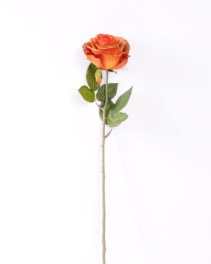 10*66cm Single rose GS-1450141-R2