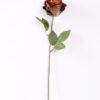 10*66cm Single rose GS-1450141-S1