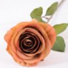 10*66cm Single rose GS-1450141-S2 2 10*66cm Single rose GS-1450141-S2