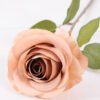10*66cm Single rose GS-1450141-S3
