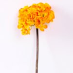 15*46cm Single hydrangea GS-1450143-Y1