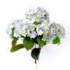 30*45CM HYDRANGEA BUSH*5 GS-1450168