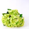 30*45CM HYDRANGEA BUSH*5 GS-1450168