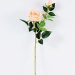 20*20*70CM Single Rose GS-1780022-C1