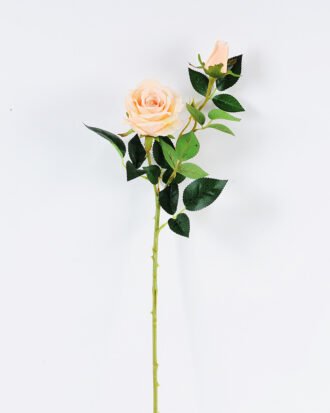 20*20*70CM Single Rose GS-1780022-C1