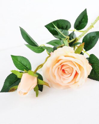 20*20*70CM Single Rose GS-1780022-C1