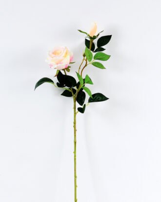 20*20*70CM Single Rose GS-1780022-P1