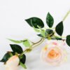 20*20*70CM Single Rose GS-1780022-P1