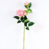 20*20*70CM Single Rose GS-1780022-P2