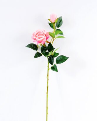 20*20*70CM Single Rose GS-1780022-P2