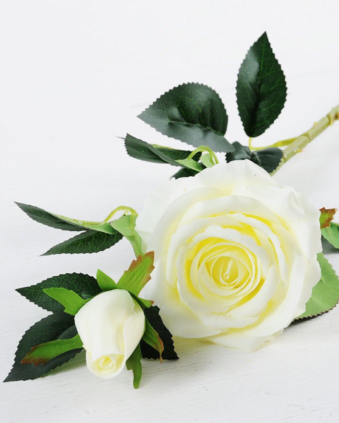 20*20*70CM Single Rose GS-1780022-W1