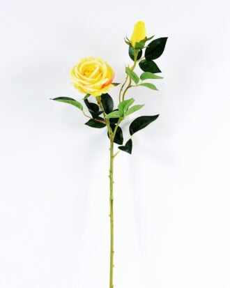 20*20*70CM Single Rose GS-1780022-Y1