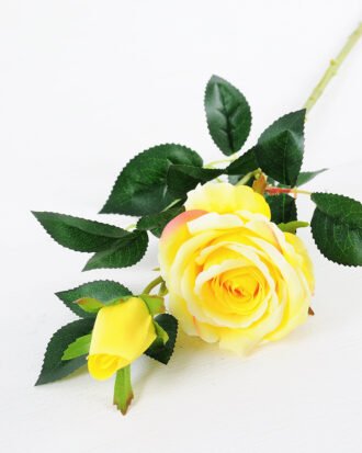 20*20*70CM Single Rose GS-1780022-Y1