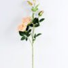 18*18*78CM Single Rose GS-1780023-C1