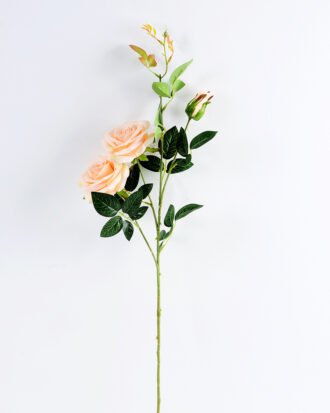18*18*78CM Single Rose GS-1780023-C1