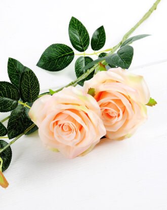 18*18*78CM Single Rose GS-1780023-C1