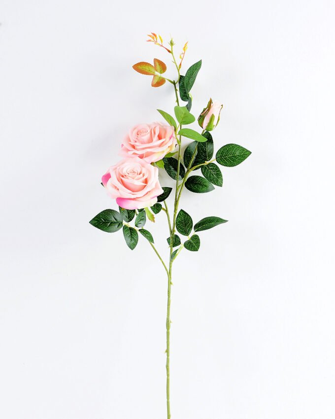 18*18*78CM Single Rose GS-1780023-P1