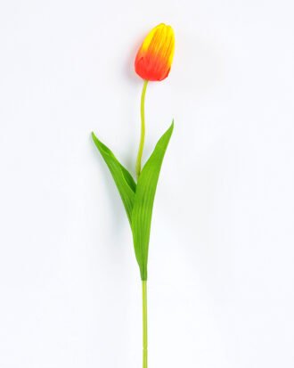 10*10*50CM Single  Tulip GS-1780026-O1