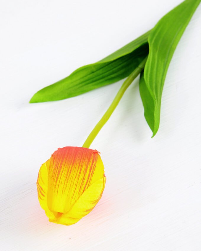 10*10*50CM Single  Tulip GS-1780026-O1