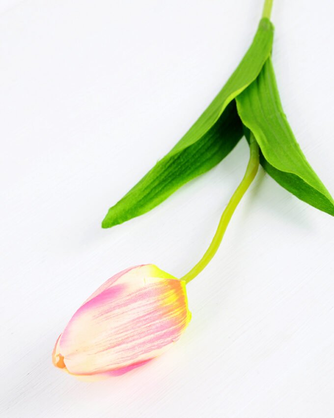 10*10*50CM Single  Tulip GS-1780026-P1