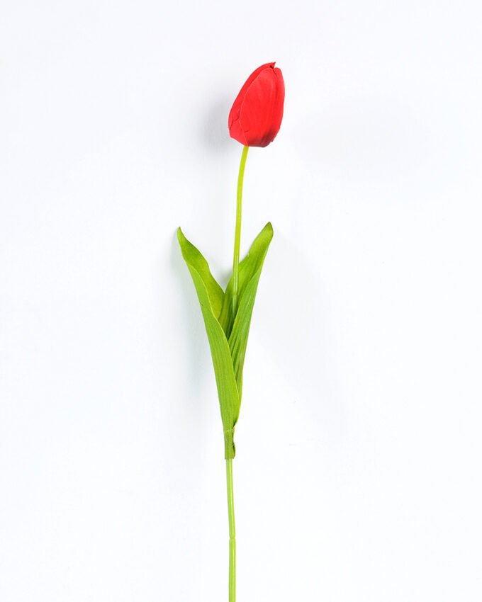 10*10*50CM Single  Tulip GS-1780026-R1
