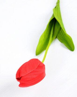 10*10*50CM Single  Tulip GS-1780026-R1