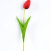 10*10*50CM Single  Tulip GS-1780026-R2