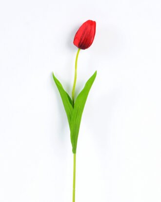 10*10*50CM Single  Tulip GS-1780026-R2