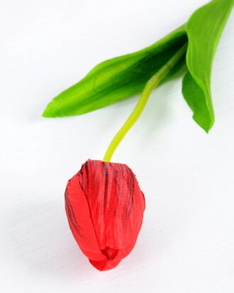 10*10*50CM Single  Tulip GS-1780026-R2