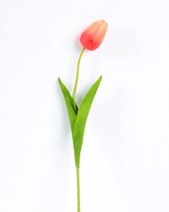 10*10*50CM Single  Tulip GS-1780026-R3