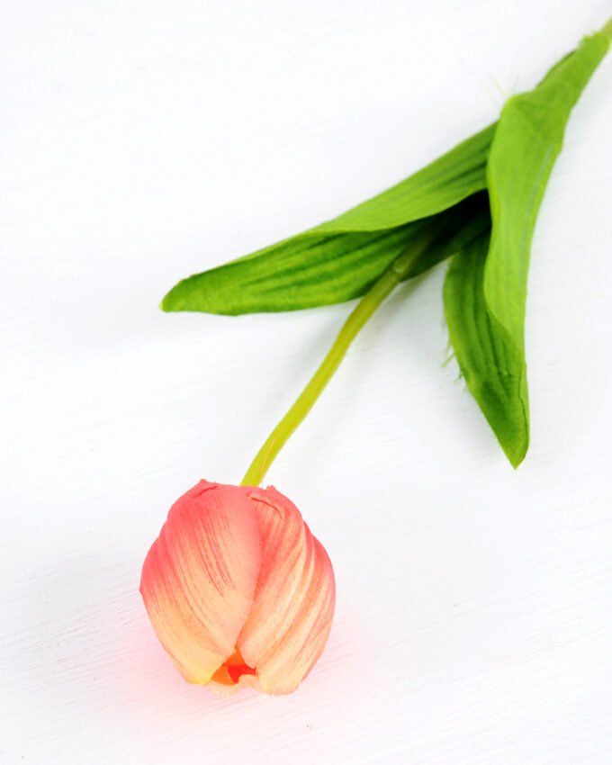 10*10*50CM Single  Tulip GS-1780026-R3