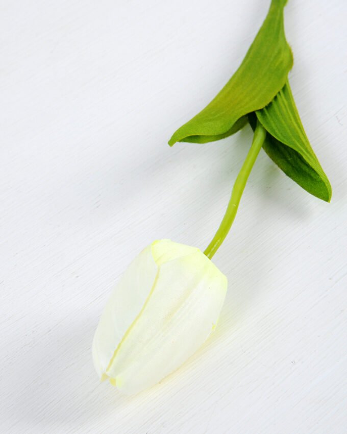 10*10*50CM Single  Tulip GS-1780026-W1